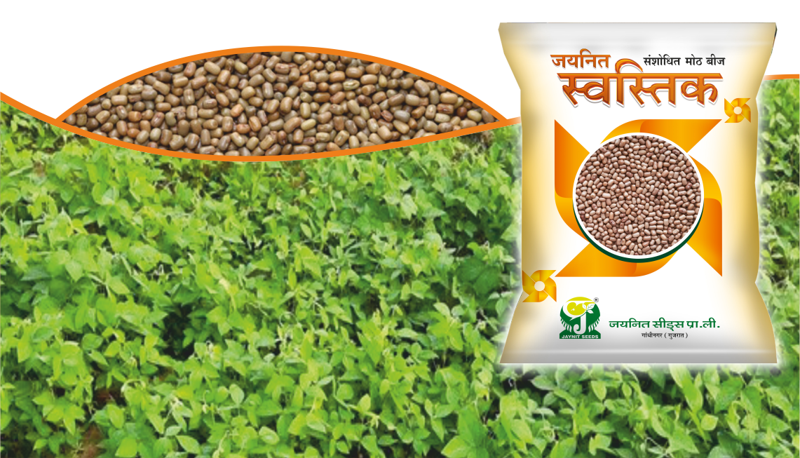 Research Moth Jaynit Swastik